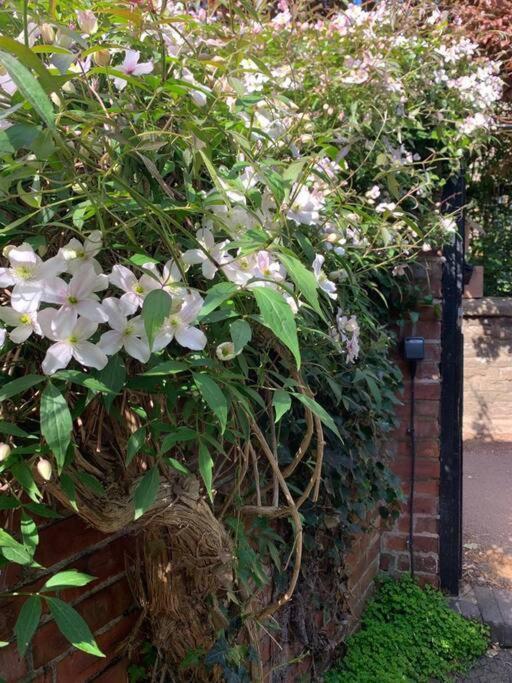 Beautiful Georgian Cottage Within A Private Walled Garden Oakham Bagian luar foto